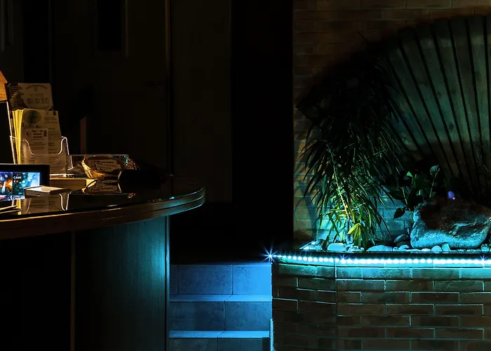 酒店 Aster Restaurant Aux Arcades 3*