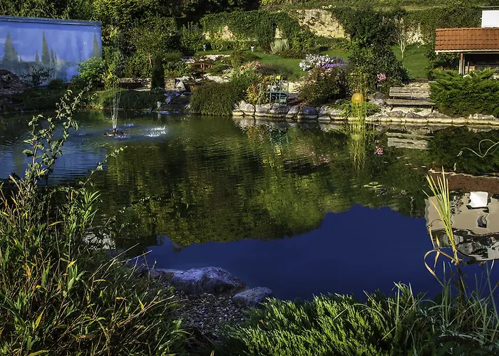 Aster Restaurant Aux Arcades 3* 布里埃