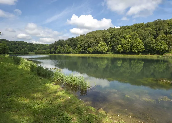 Aster Restaurant Aux Arcades Hotel Briey
