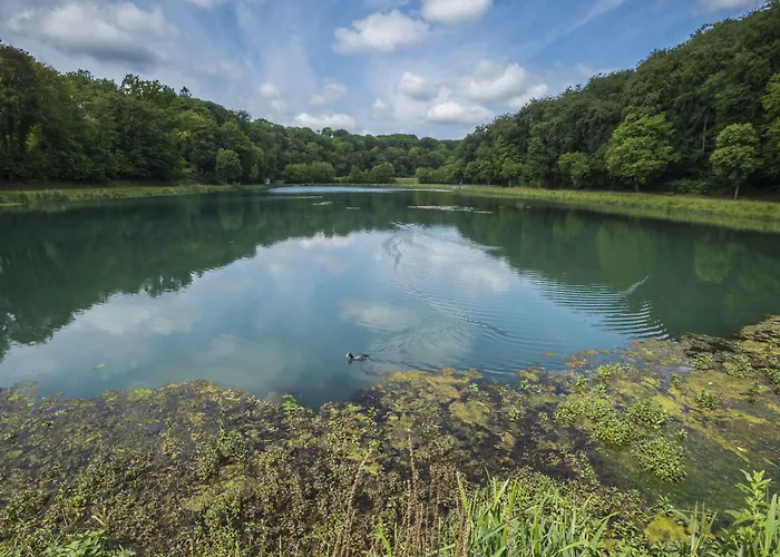 Aster Restaurant Aux Arcades